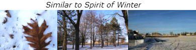 Banner purchase spirit of winter photography sidha vision
